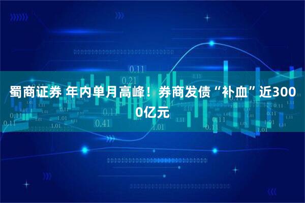 蜀商证券 年内单月高峰！券商发债“补血”近3000亿元
