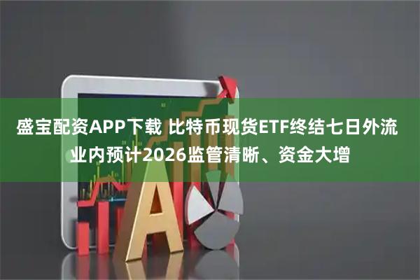 盛宝配资APP下载 比特币现货ETF终结七日外流 业内预计2026监管清晰、资金大增