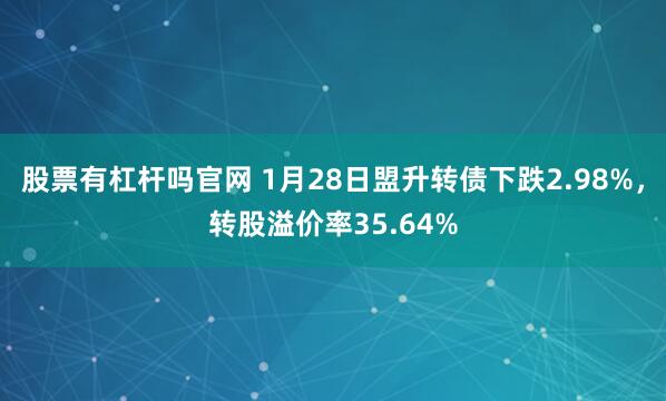 股票有杠杆吗官网 1月28日盟升转债下跌2.98%，转股溢价率35.64%